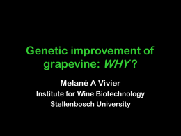 Genetic improvement of grapevine: WHY?