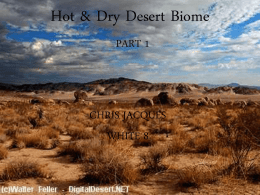 Hot & Dry Desert Biome - Lewiston Public Schools