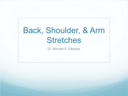 Back, Shoulder, & Arm Stretches