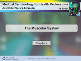 Introduction to Medical Terminology