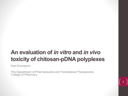 An evaluation of in vitro and in vivo toxicity of chitosan