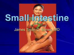 Small Intestine Surgery