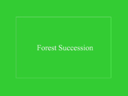 Forest Succession - www.forestinfo.org