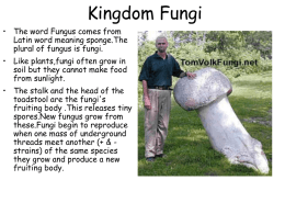 Kingdom Fungi - Dr. Annette M. Parrott