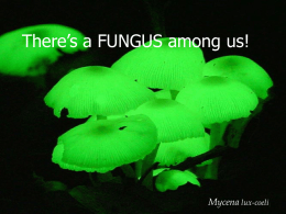 There’s a FUNGUS among us! - Utah State University