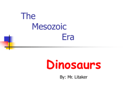 The Mesozoic Era best Robs