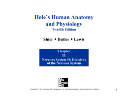 PowerPoint to accompany Hole&rsquo;s Human Anatomy and