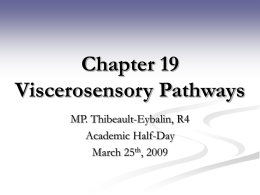Chapter 19 Viscerosensory Pathways