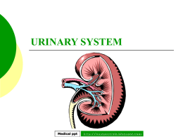 URINARY SYSTEM - Hastaneciyiz's Blog