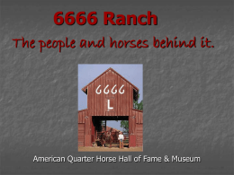 6666 Ranch The people and horses behind it.