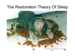 The Restoration Theory Of Sleep