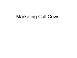 Marketing Cull Cows - Tarleton State University