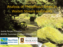 Analysis of Phosphorus forms in Waiteti Stream sediments