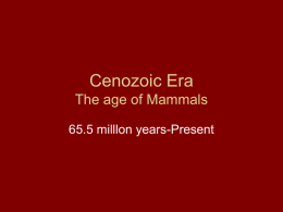 Cenozoic Era The age of Mammals
