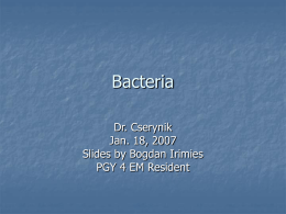 Bacteria - Cleveland Clinic Regional Hospitals