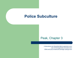 Police Subculture