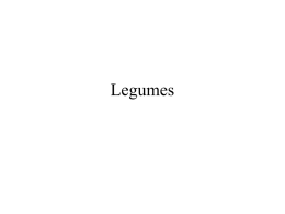 Legumes - NIU Department of Biological Sciences