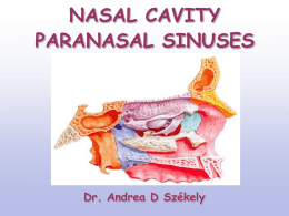 1. dia - Semmelweis University