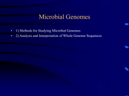 Microbial Genomes - Griffith University