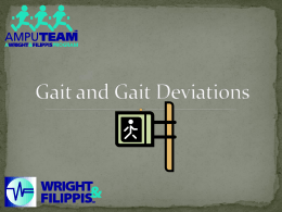 Gait and Gait Deviations - University of Michigan–Flint