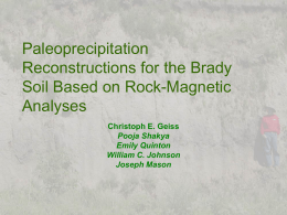 Paleoprecipitation Reconstructions for the Brady Soil