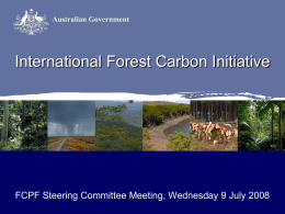 International Forest Carbon Initiative