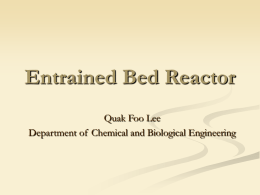 Entrained Bed Reactor