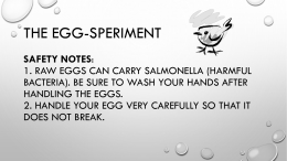The Egg-speriment Day 1
