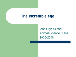 The incredible egg - Ione Community Charter School