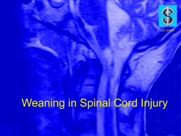 Weaning in Spinal Cord Injury
