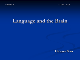 Chapter 9 Language and the Brain Second Edition Cognitive