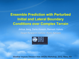 Ensemble Prediction with Perturbed Initial and Lateral