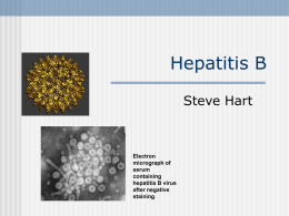 Hepatitis B - Steve's Homepage