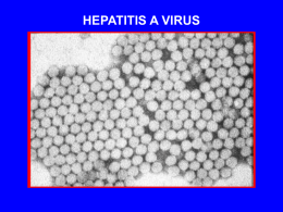 GEOGRAPHIC DISTRIBUTION OF HEPATITIS A VIRUS INFECTION