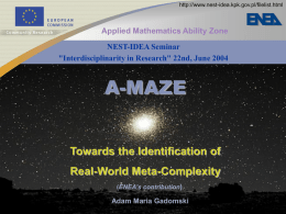 A-MAZE NEST, Meta-compexity Management