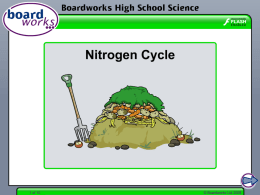 Nitrogen Cycle - Boardworks Education
