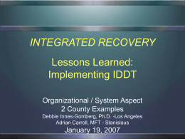 Lessons Learned: Implementing IDDT