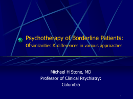 Psychotherapy of Borderline Patients: similarities