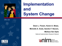 Implementation and System Change