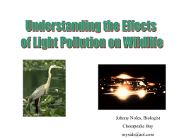 Understanding the effect of light pollution on