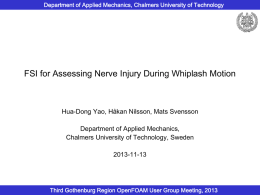 FSI for Assessing Nerve Injury During Whiplash