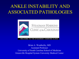 ANKLE INSTABILITY AND ASSOCIATED PATHOLOGIES