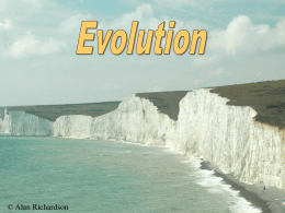 Evolution Powerpoints
