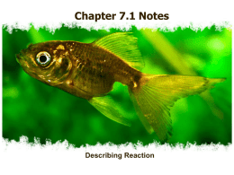 Chapter 7.1 Notes