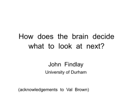 How does the brain decide where to look next?