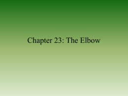 Chapter 23: The Elbow - Kent City School District