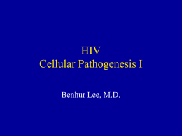 HIV Attachment & Entry: Insights into pathogenesis and