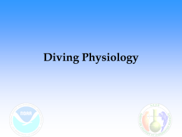 Diving Physiology - Home | Western Washington University
