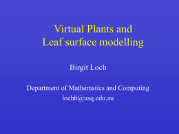 Leaf surface modelling (or: what I’ve been doing for the