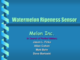Watermelon Ripeness Sensor